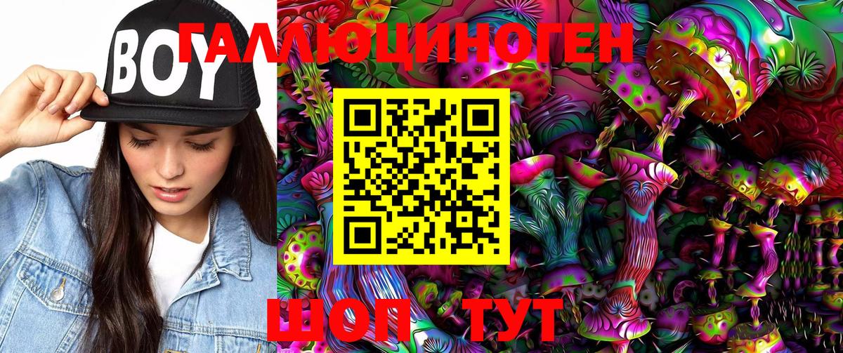 где купить   Галлюциногенные грибы Psilocybe  Вход с VPN  Люберцы 