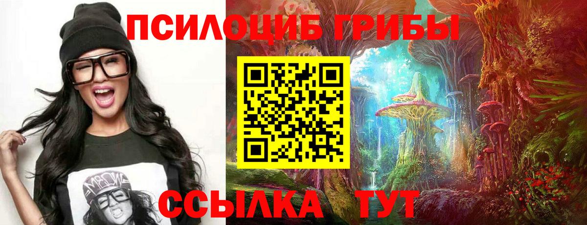 Галлюциногенные грибы Psilocybine cubensis Люберцы